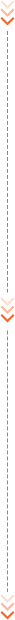 網(wǎng)申服務(wù)階段