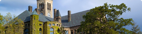 康奈爾大學(xué)