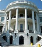 新！VIVA畫出生命高端遠程實習項目上線啦！