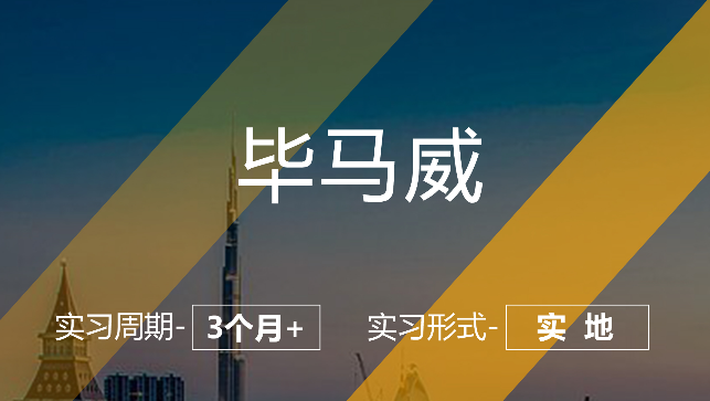 美國留學(xué)實習(xí)項目:畢馬威-財務(wù)咨詢崗(實地)