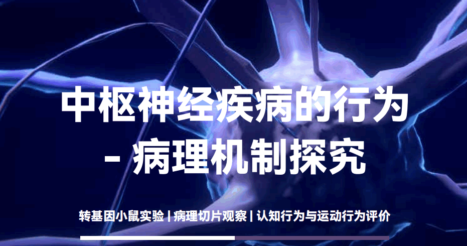 美國留學(xué)公益項(xiàng)目：中樞神經(jīng)疾病的行為-病理機(jī)制探究（高中生）