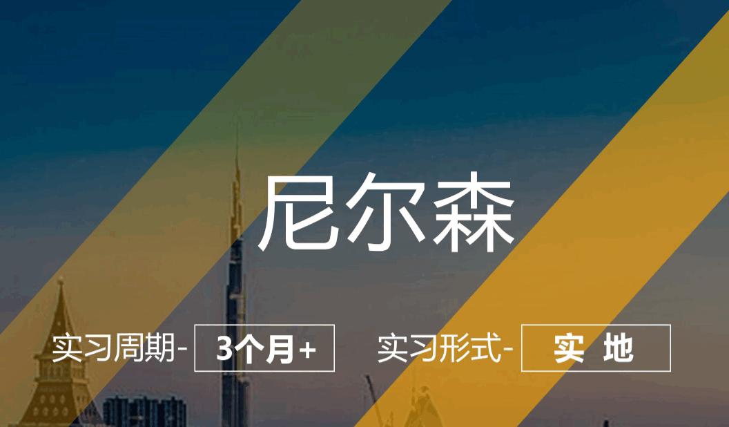 美國留學實習項目：尼爾森-商業(yè)分析崗（實地；3個月+）