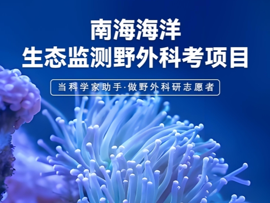 2025關(guān)愛海洋生物?南海海洋生態(tài)監(jiān)測公益活動