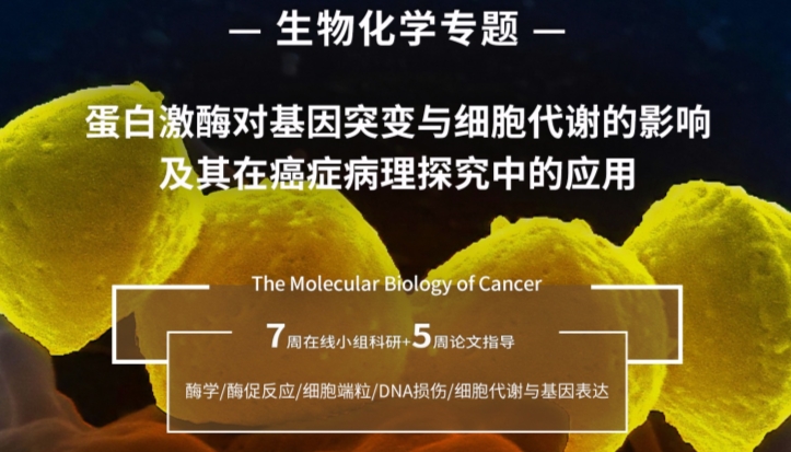 耶魯大學(xué)蛋白激酶研究專題項(xiàng)目