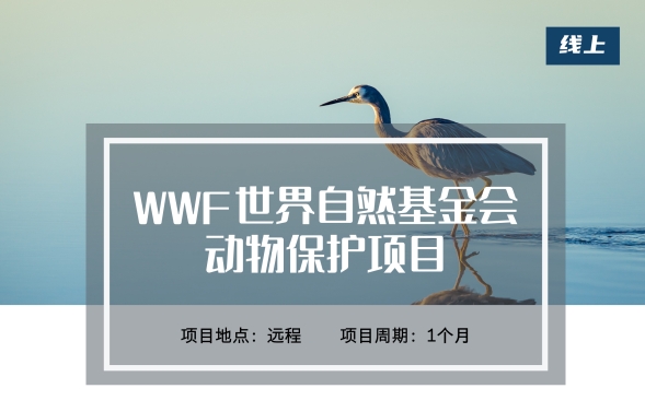 WWF世界自然基金會：動物保護(hù)項目（遠(yuǎn)程）