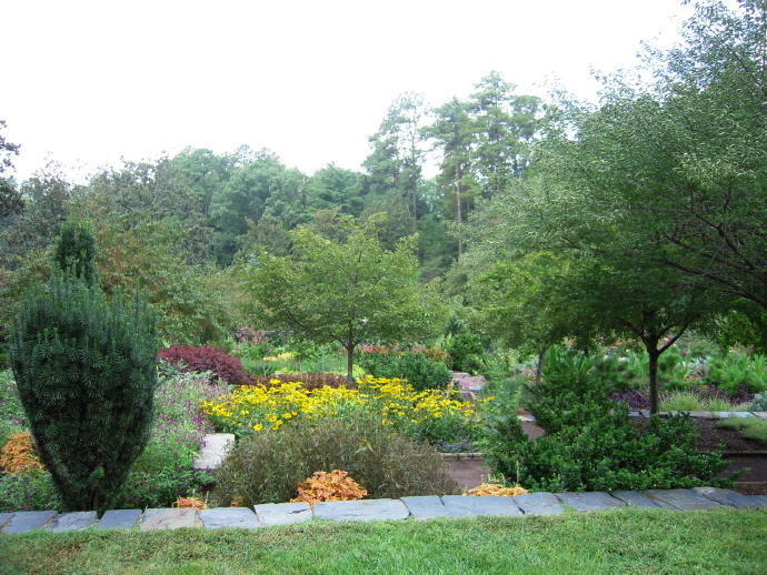 杜克大學