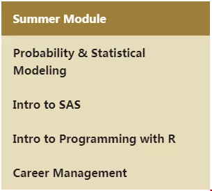 維克森林大學商業(yè)分析碩士_Summer