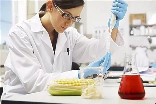 馬里蘭大學帕克分?；瘜W與生物化學申請條件