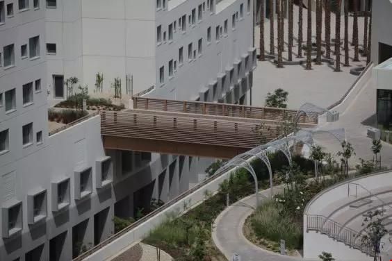 紐約大學(xué)阿布扎比分校.jpg