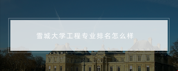雪城大學(xué)工程專業(yè)最新排名
