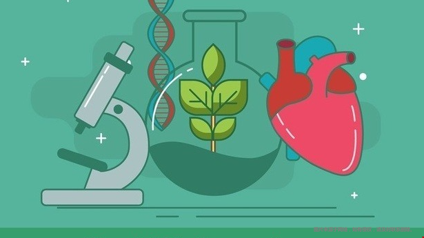 美國研究生生物專業(yè)最好的大學.png
