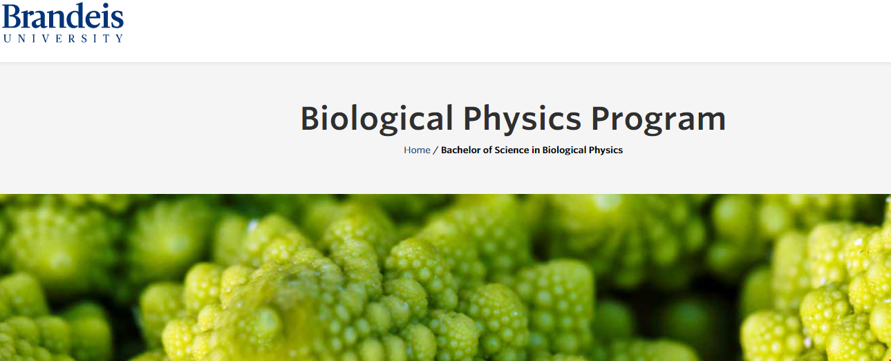 布蘭迪斯大學(xué)生物工程申請要求.png