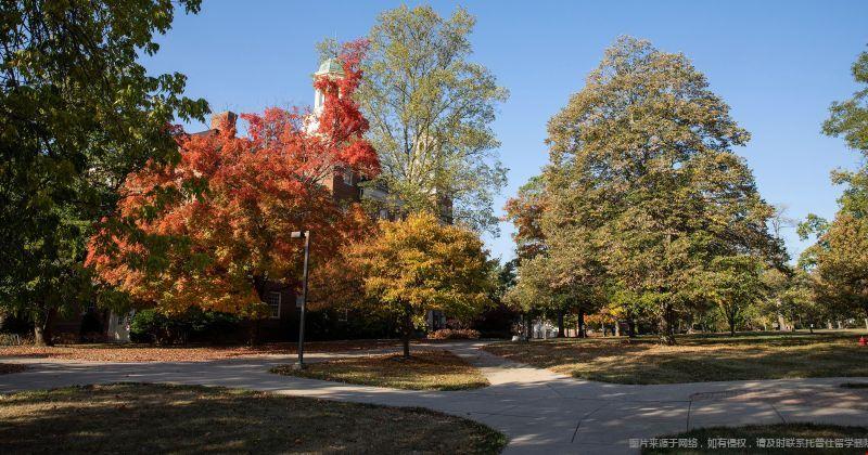 康涅狄格大學.jpg