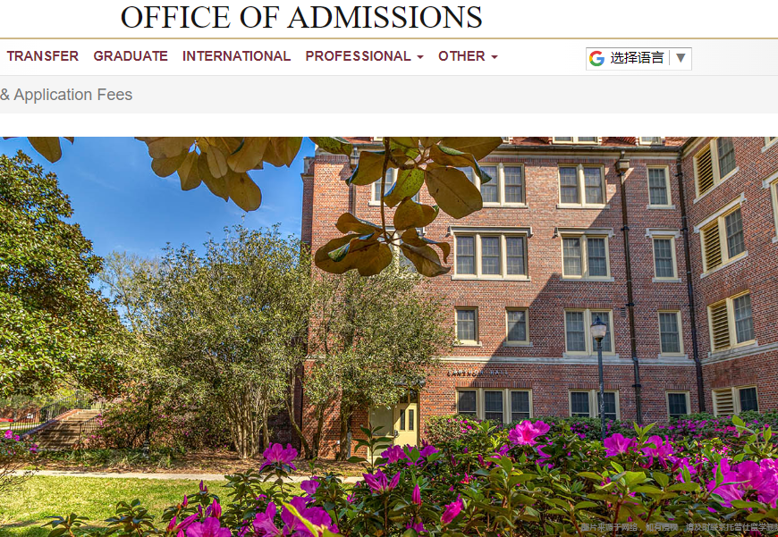 FSU大學申請輪次變化.png