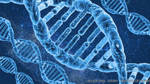 美國(guó)生物技術(shù)專業(yè)（Biotechnology）介紹png