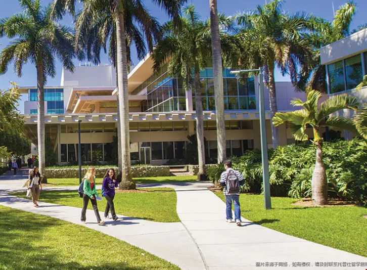 邁阿密大學優(yōu)勢專業(yè).png 邁阿密大學優(yōu)勢專業(yè).png