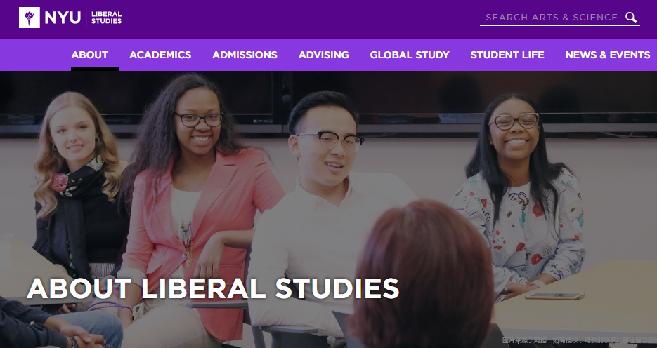 紐約大學本科LSP課程介紹.png