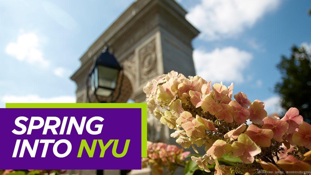 紐約大學(xué)春季入學(xué)項目.jpg