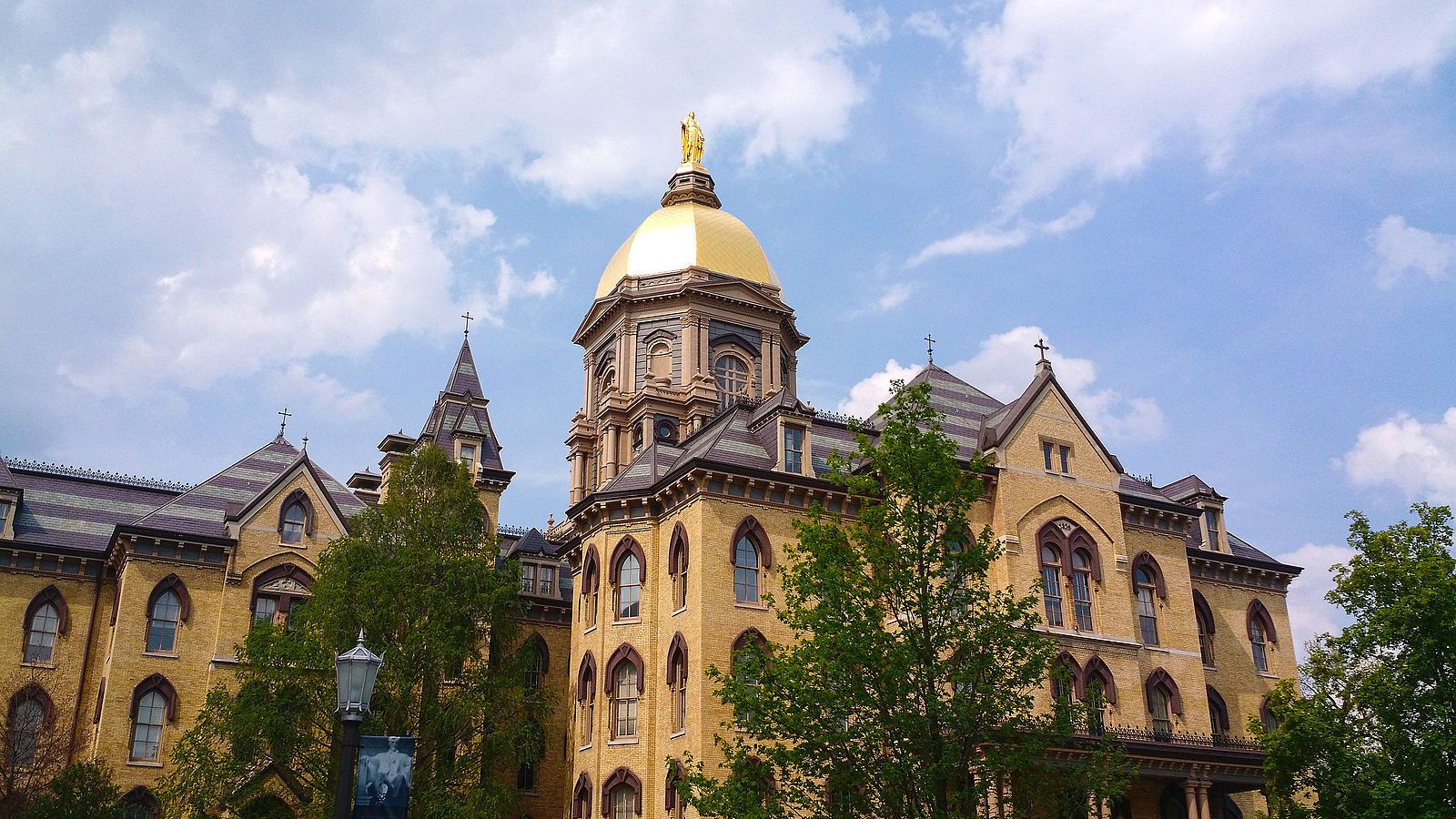 圣母大學