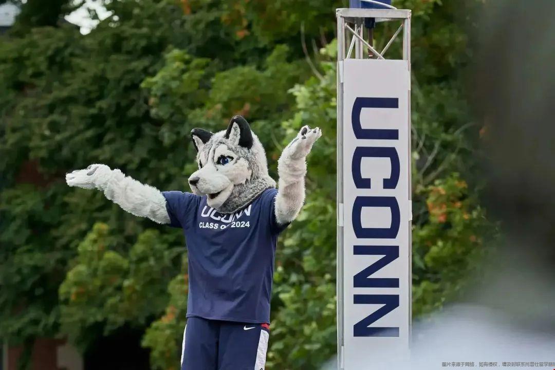 uconn大學.jpg