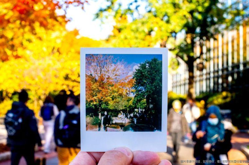 美國東北大學全美排名