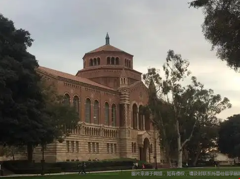 華大西雅圖為什么受歡迎