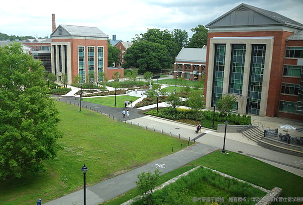 uconn大學(xué)世界排名