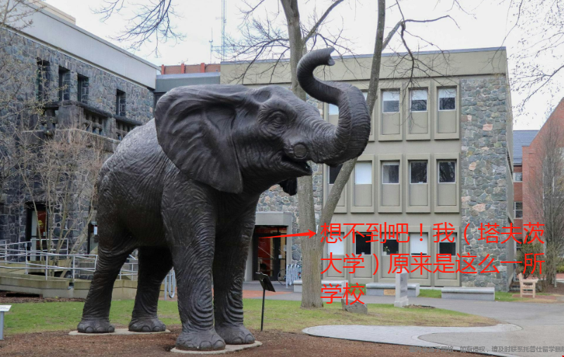 塔夫茨大學(xué)是一所什么學(xué)校.png
