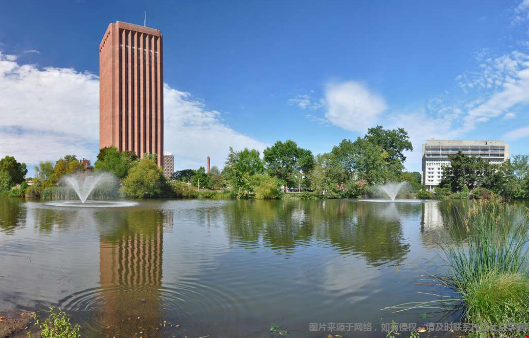 馬薩諸塞大學安姆斯特分校在哪個州