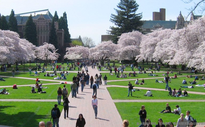 UW-Seattle本科錄取趨勢