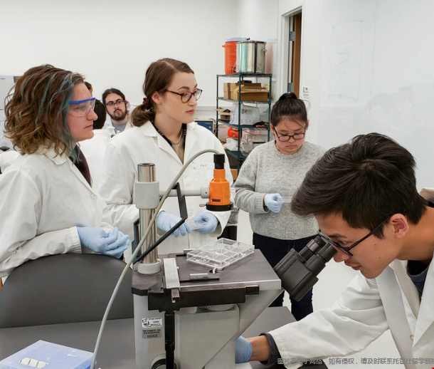 美國生物類專業(yè)申請指南.png 美國生物類專業(yè)申請指南.png