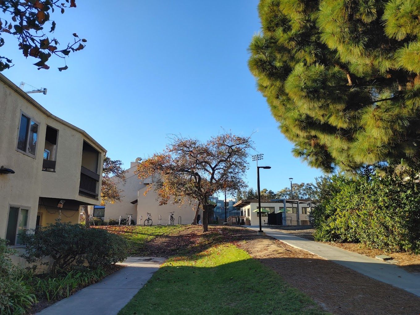 ucsd.jpg